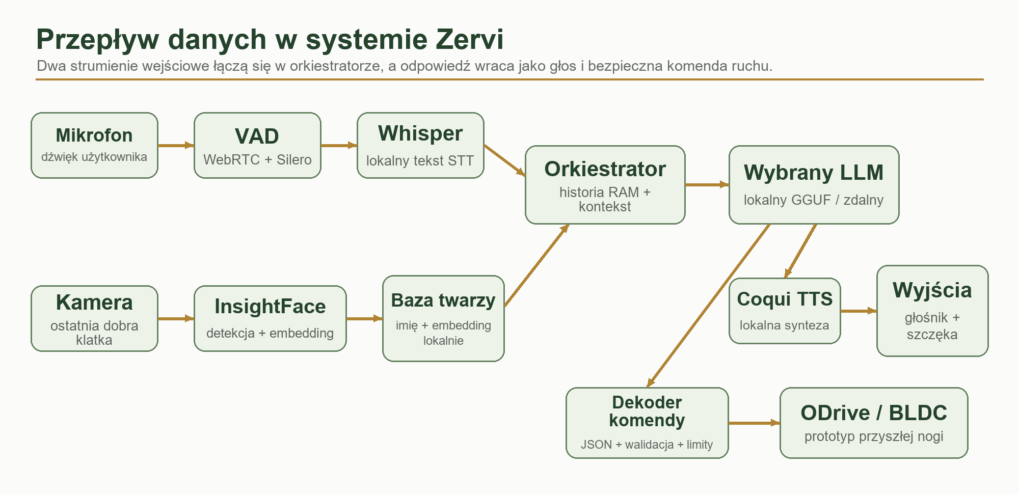 Schemat przepływu danych w Systemie Zervi